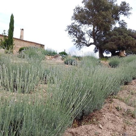 Holiday Home Su Niberalzu Monti Exterior foto