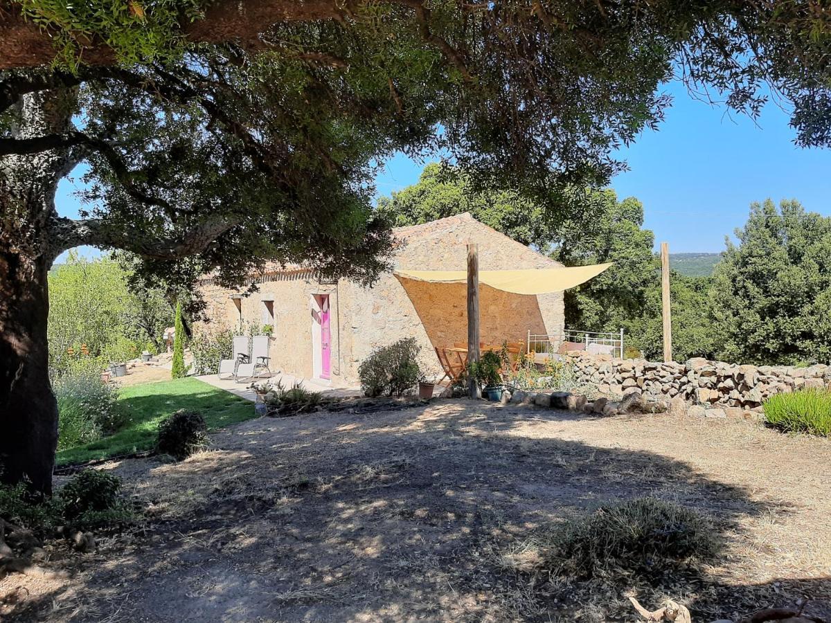 Holiday Home Su Niberalzu Monti Exterior foto