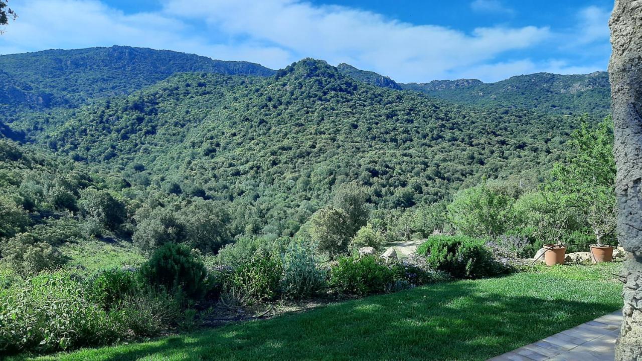 Holiday Home Su Niberalzu Monti Exterior foto