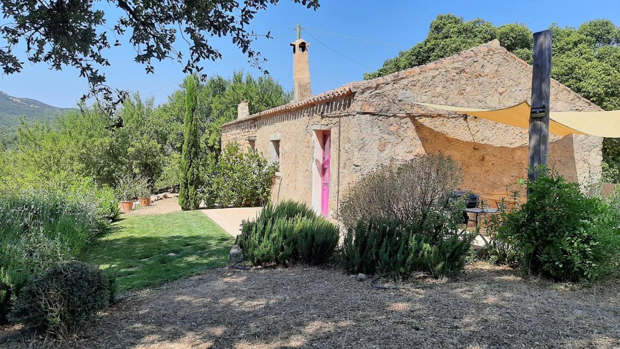 Holiday Home Su Niberalzu Monti Exterior foto