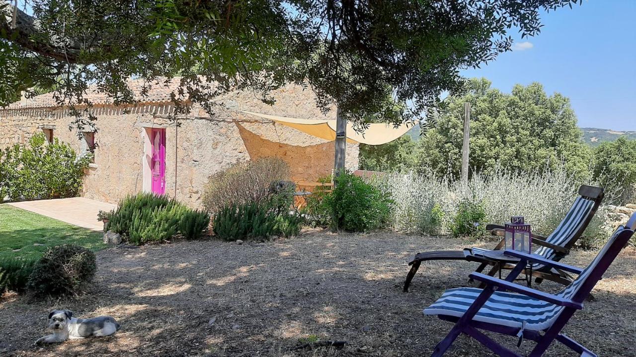 Holiday Home Su Niberalzu Monti Exterior foto