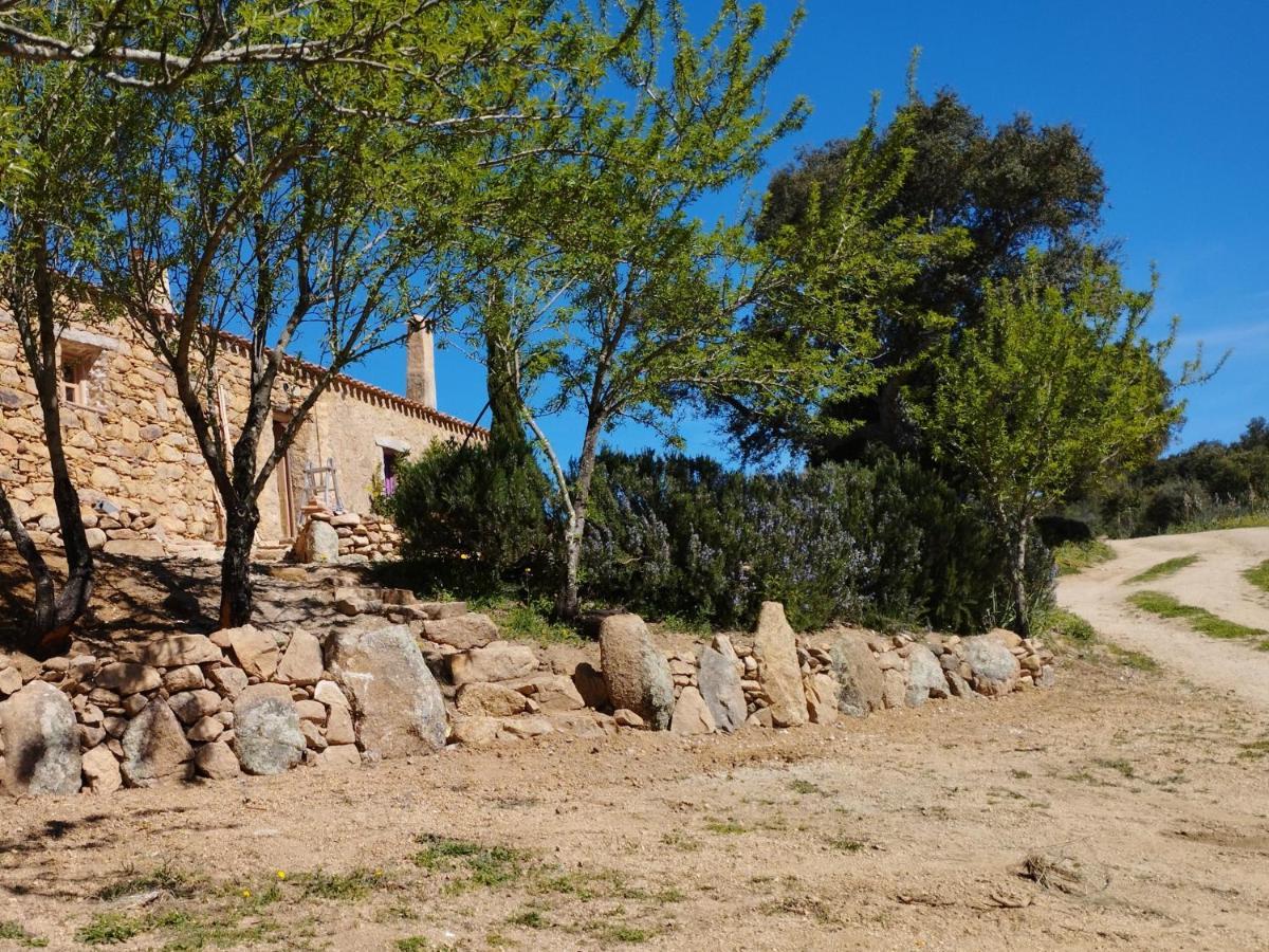 Holiday Home Su Niberalzu Monti Exterior foto