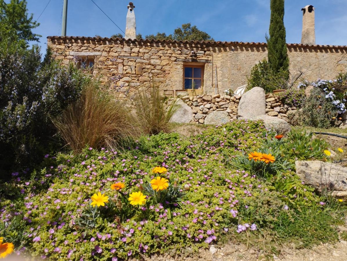 Holiday Home Su Niberalzu Monti Exterior foto
