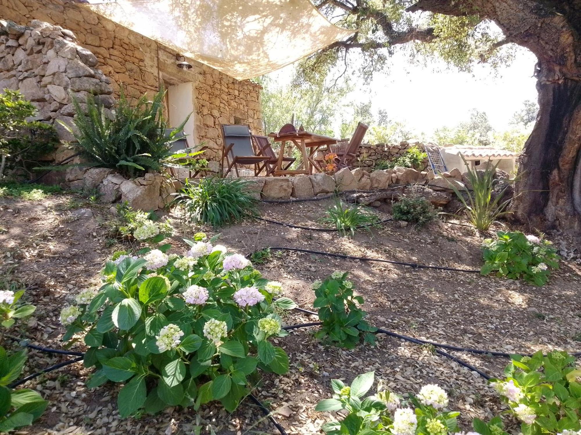 Holiday Home Su Niberalzu Monti Exterior foto